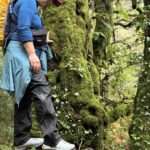 Fast wie im Regenwald