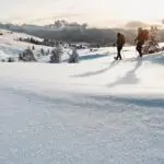 Auf der Villanderer Alm